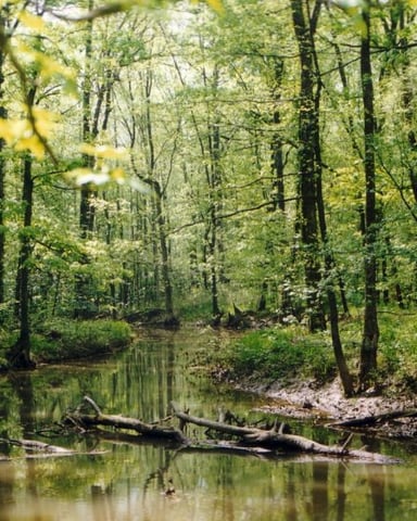 Nature and Wildlife Nearby